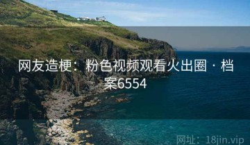 网友造梗：粉色视频观看火出圈 · 档案6554