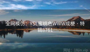 全网模仿：YSL蜜桃色WWW成梗 · 特辑8761