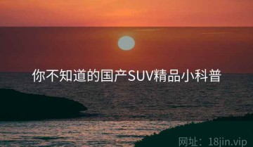你不知道的国产SUV精品小科普