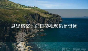 悬疑档案：向日葵视频仍是谜团