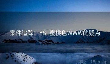 案件追踪：YSL蜜桃色WWW的疑点