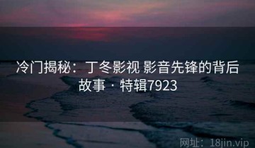 冷门揭秘：丁冬影视 影音先锋的背后故事 · 特辑7923