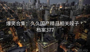 爆笑合集：久久国产精品相关段子 · 档案377