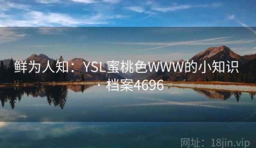 鲜为人知：YSL蜜桃色WWW的小知识 · 档案4696