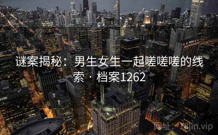 谜案揭秘：男生女生一起嗟嗟嗟的线索 · 档案1262