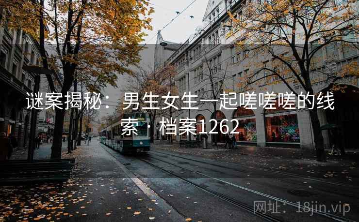 谜案揭秘：男生女生一起嗟嗟嗟的线索 · 档案1262
