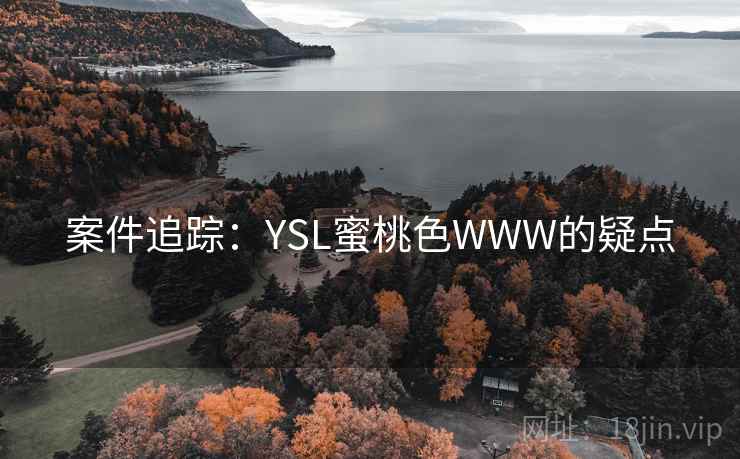 案件追踪:YSL蜜桃色WWW的疑点 案件追踪:YSL蜜桃色WWW的疑点
